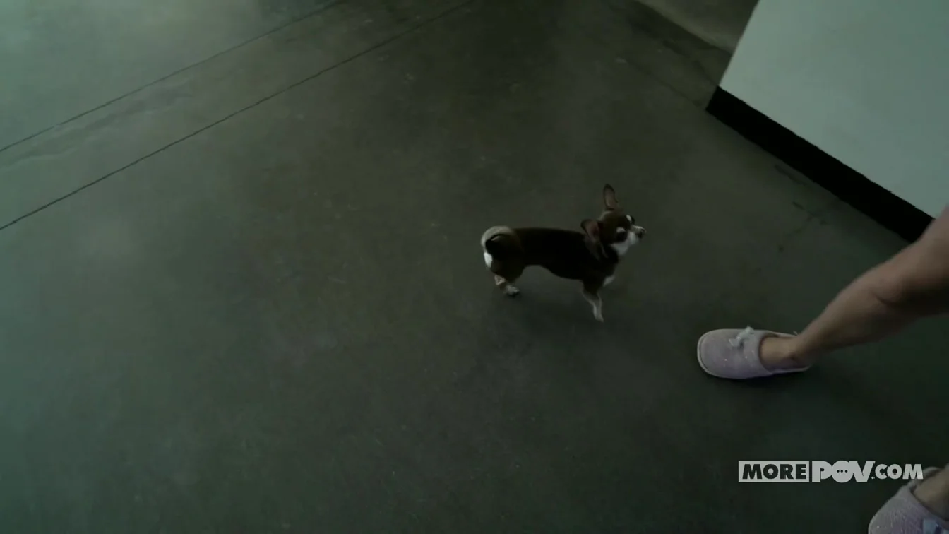 MorePOV Angelika Grays Your Clients Woman XXX